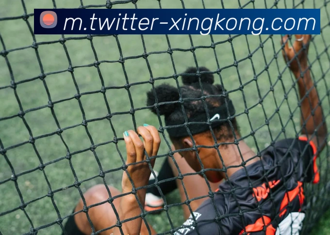 体育赛事